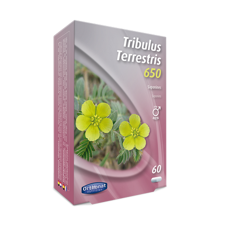 TRIBULUS Terrestris 650 - 60 gélules - PHARMACIE VERTE - Herboristerie à Nantes depuis 1942 - Plantes en Vrac - Tisane - EPS - B