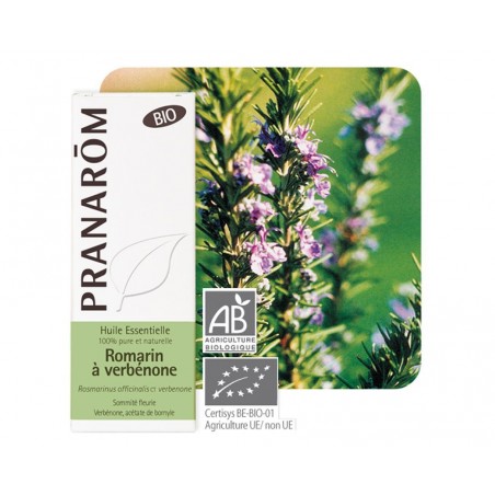 Romarin à Verbénone Bio HE - 5ml - PHARMACIE VERTE - Herboristerie à Nantes depuis 1942 - Plantes en Vrac - Tisane - EPS - Bourg