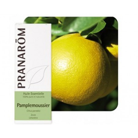 Pamplemoussier HE - 10ml - PHARMACIE VERTE - Herboristerie à Nantes depuis 1942 - Plantes en Vrac - Tisane - EPS - Bourgeon - My