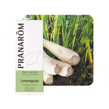 Lemongrass HE - 10ml - PHARMACIE VERTE - Herboristerie à Nantes depuis 1942 - Plantes en Vrac - Tisane - EPS - Bourgeon - Mycoth