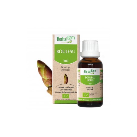 HERBALGEM BOULEAU Bourgeon - 30ml - PHARMACIE VERTE - Herboristerie à Nantes depuis 1942 - Plantes en Vrac - Tisane - EPS - Bour