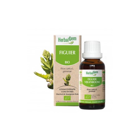 HERBALGEM FIGUIER - 30ml - PHARMACIE VERTE - Herboristerie à Nantes depuis 1942 - Plantes en Vrac - Tisane - EPS - Bourgeon - My