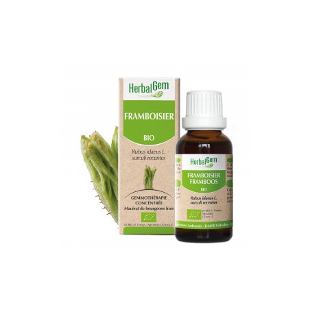 HERBALGEM FRAMBOISIER - 30ml - PHARMACIE VERTE - Herboristerie à Nantes depuis 1942 - Plantes en Vrac - Tisane - EPS - Bourgeon 