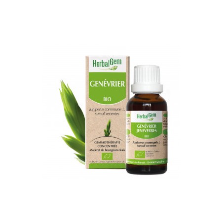 HERBALGEM GENEVRIER - 30ml - PHARMACIE VERTE - Herboristerie à Nantes depuis 1942 - Plantes en Vrac - Tisane - EPS - Bourgeon - 