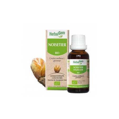 HERBALGEM NOISETIER - 30ml - PHARMACIE VERTE - Herboristerie à Nantes depuis 1942 - Plantes en Vrac - Tisane - EPS - Bourgeon - 