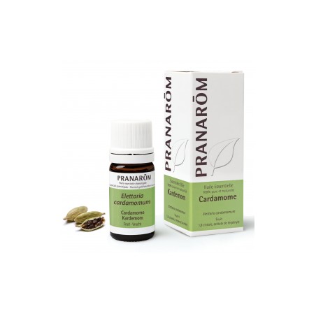 Cardamome HE - 5ml - PHARMACIE VERTE - Herboristerie à Nantes depuis 1942 - Plantes en Vrac - Tisane - EPS - Bourgeon - Mycothér