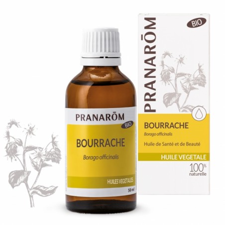 Bourrache - HV Bio - 50ml - PHARMACIE VERTE - Herboristerie à Nantes depuis 1942 - Plantes en Vrac - Tisane - EPS - Bourgeon - M