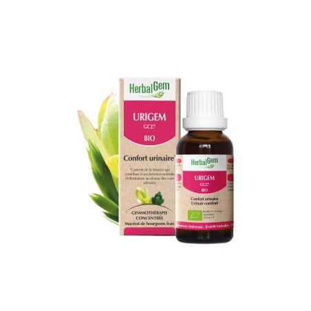 HERBALGEM URIGEM - 30ml - PHARMACIE VERTE - Herboristerie à Nantes depuis 1942 - Plantes en Vrac - Tisane - EPS - Bourgeon - Myc