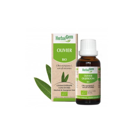 HERBALGEM OLIVIER - 30ml - PHARMACIE VERTE - Herboristerie à Nantes depuis 1942 - Plantes en Vrac - Tisane - EPS - Bourgeon - My