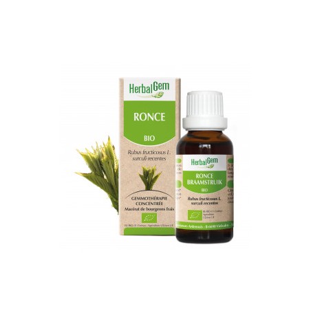 HERBALGEM RONCE - 30ml - PHARMACIE VERTE - Herboristerie à Nantes depuis 1942 - Plantes en Vrac - Tisane - EPS - Bourgeon - Myco