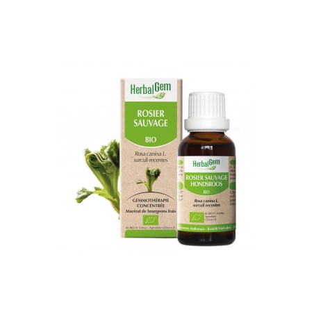 HERBALGEM ROSIER SAUVAGE - 30ml - PHARMACIE VERTE - Herboristerie à Nantes depuis 1942 - Plantes en Vrac - Tisane - EPS - Bourge