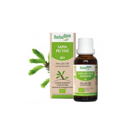 HERBALGEM SAPIN PECTINÉ - 30ml - PHARMACIE VERTE - Herboristerie à Nantes depuis 1942 - Plantes en Vrac - Tisane - EPS - Bourgeo