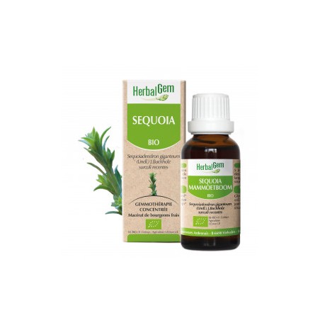 HERBALGEM SÉQUOIA - 30ml - PHARMACIE VERTE - Herboristerie à Nantes depuis 1942 - Plantes en Vrac - Tisane - EPS - Bourgeon - My