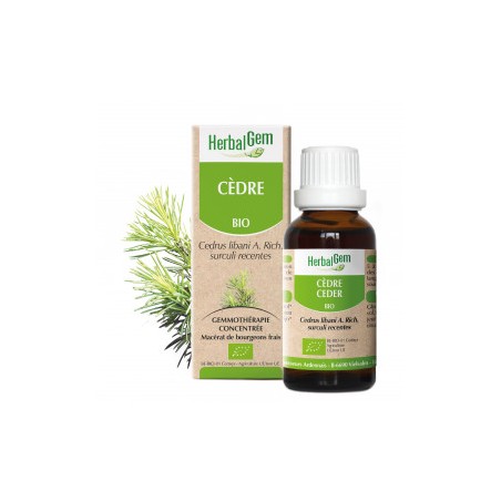 HERBALGEM CEDRE - 30ml - PHARMACIE VERTE - Herboristerie à Nantes depuis 1942 - Plantes en Vrac - Tisane - EPS - Bourgeon - Myco