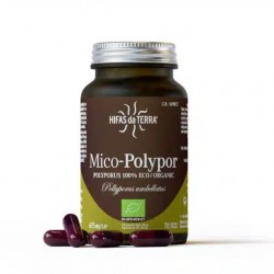 Mico Polypor Micosalud - 70 capsules - PHARMACIE VERTE - Herboristerie à Nantes depuis 1942 - Plantes en Vrac - Tisane - EPS - B