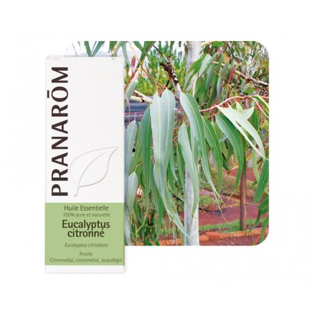 Eucalyptus Citronné HE Bio - 10ml - PHARMACIE VERTE - Herboristerie à Nantes depuis 1942 - Plantes en Vrac - Tisane - EPS - Bour