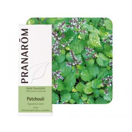 Patchouli HE - 5ml - PHARMACIE VERTE - Herboristerie à Nantes depuis 1942 - Plantes en Vrac - Tisane - EPS - Bourgeon - Mycothér