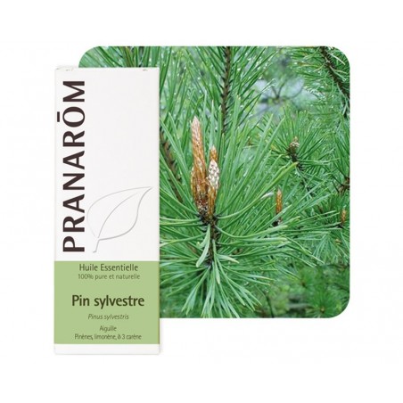 Pin Sylvestre HE - 10ml - PHARMACIE VERTE - Herboristerie à Nantes depuis 1942 - Plantes en Vrac - Tisane - EPS - Bourgeon - Myc