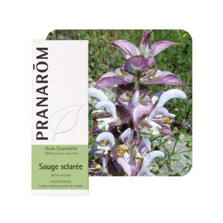 Sauge Sclarée HE - 10ml - PHARMACIE VERTE - Herboristerie à Nantes depuis 1942 - Plantes en Vrac - Tisane - EPS - Bourgeon - Myc