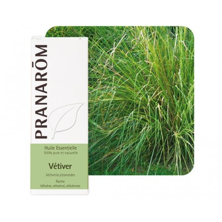 Vetiver HE - 5ml - PHARMACIE VERTE - Herboristerie à Nantes depuis 1942 - Plantes en Vrac - Tisane - EPS - Bourgeon - Mycothérap