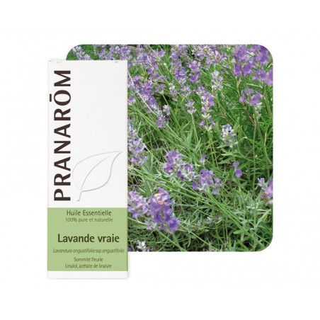 Lavande Vraie  HE Bio - 10ml - PHARMACIE VERTE - Herboristerie à Nantes depuis 1942 - Plantes en Vrac - Tisane - EPS - Bourgeon 