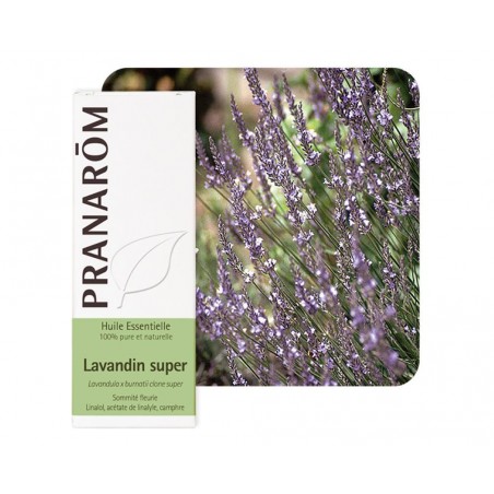 Lavandin Super HE - 10ml - PHARMACIE VERTE - Herboristerie à Nantes depuis 1942 - Plantes en Vrac - Tisane - EPS - Bourgeon - My