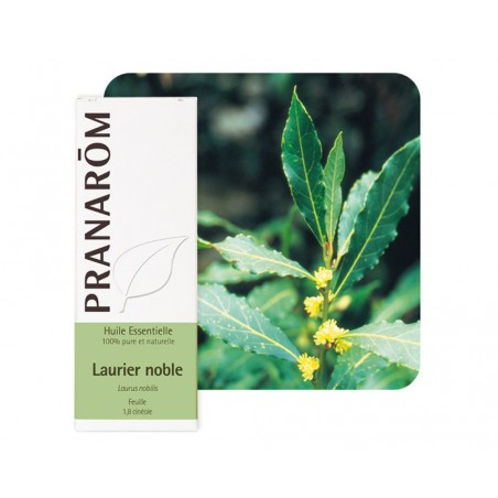 Laurier Noble HE - 5ml - PHARMACIE VERTE - Herboristerie à Nantes depuis 1942 - Plantes en Vrac - Tisane - EPS - Bourgeon - Myco