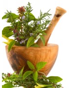 Catégorie T - Herboristerie depuis 1942 - Nantes - EPS - bourgeon - aromatherapie - plante en vrac : Thé Vert Feuille , Thym ...